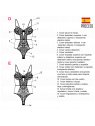 INTERIOR BODY MUJER 2002