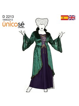 MOLDE DISFRAZ DE BRUJA 2213