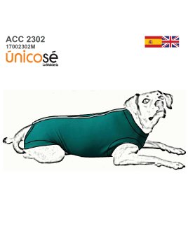 MOLDE BODY POST OPERATORIO...