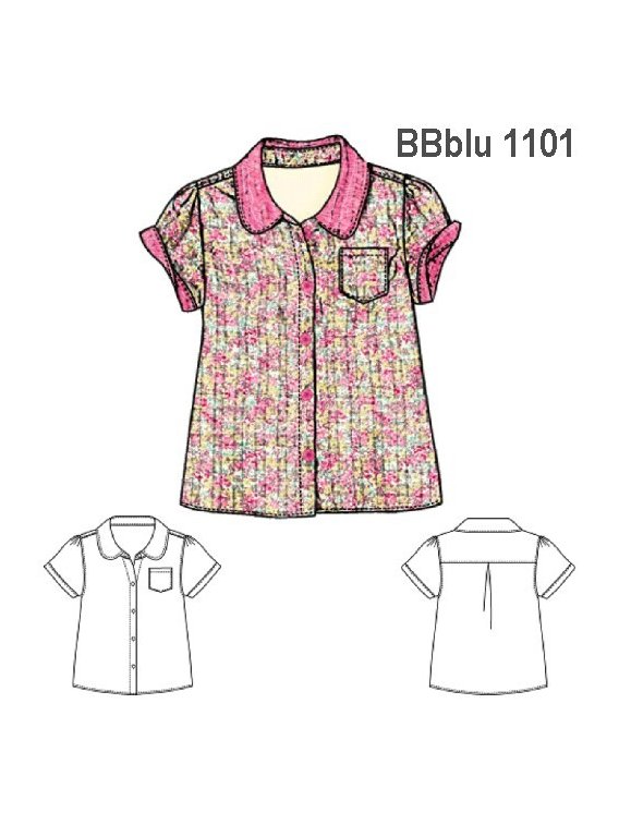 MOLDE: BLUSA 1101
