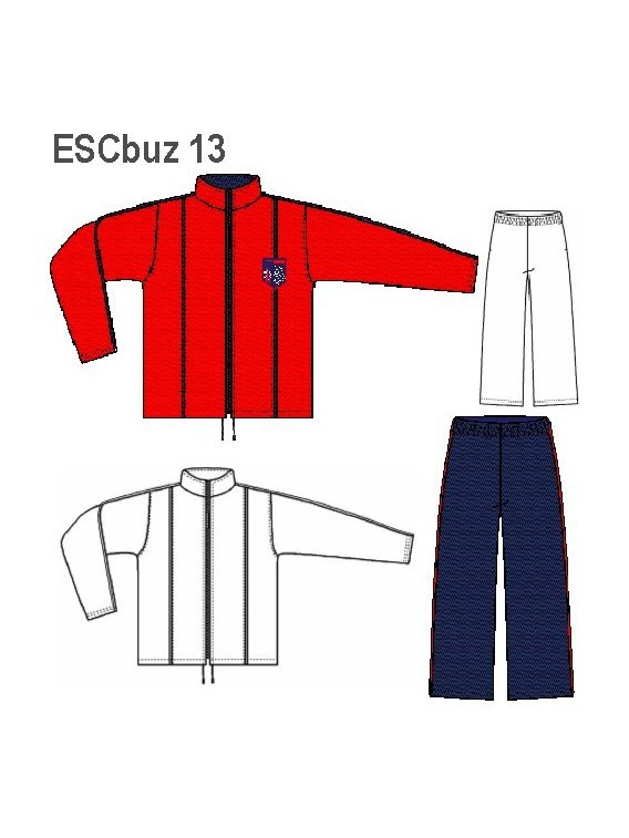 BUZO APLICACION  VIVOS UNISEX, 