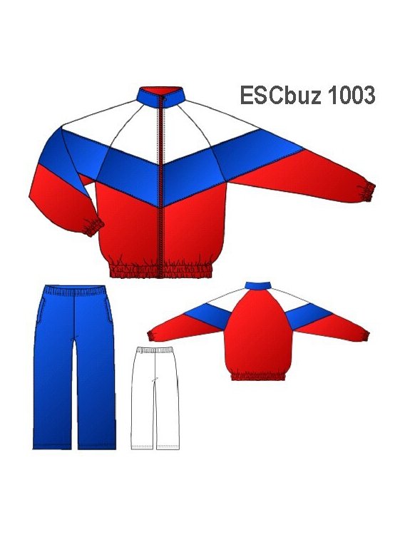 BUZO ESCOLAR 1003