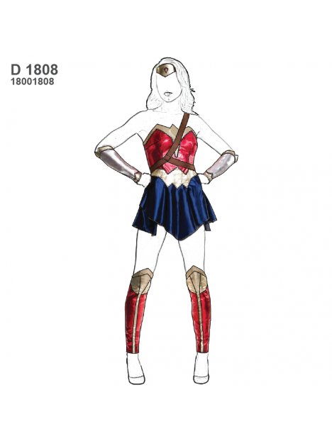 DISFRAZ SUPER HEROINA 1808